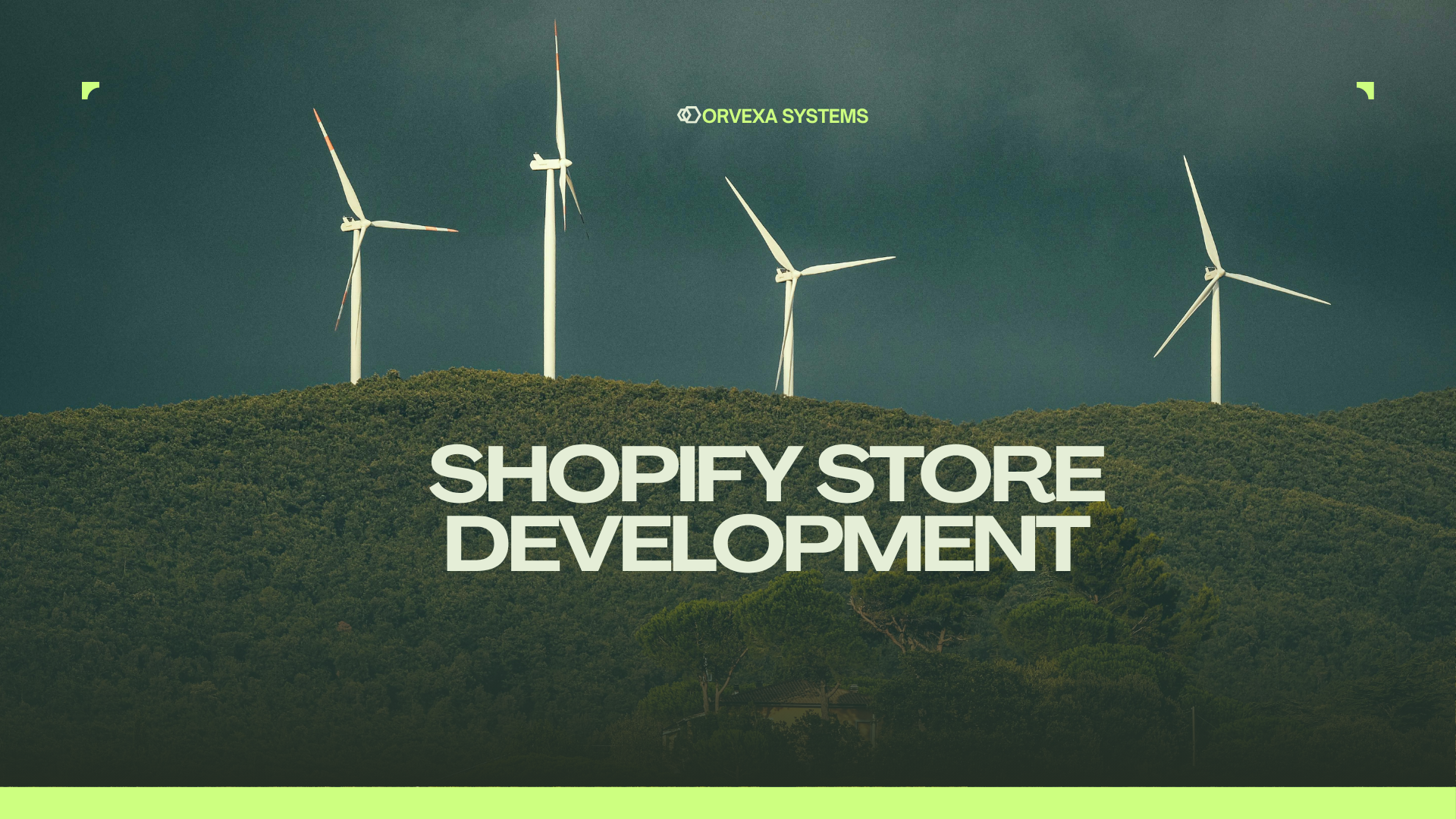 Shopify Store Development preview